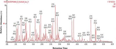 Secretome Analysis of Macrophomina phaseolina Identifies an Array of Putative Virulence Factors Responsible for Charcoal Rot Disease in Plants